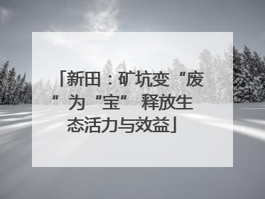 新田：矿坑变“废”为“宝” 释放生态活力与效益