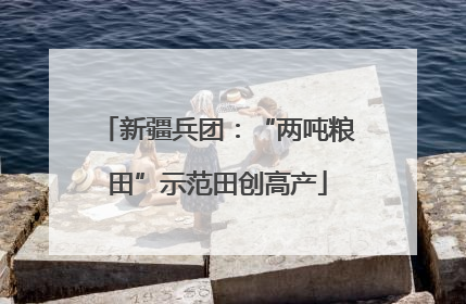 新疆兵团：“两吨粮田”示范田创高产
