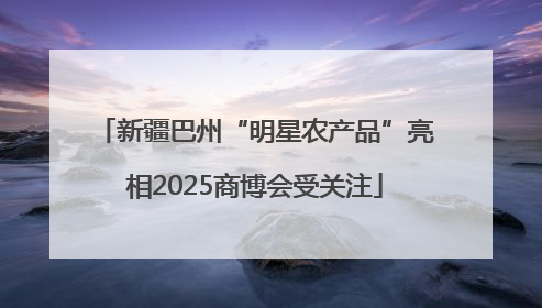 新疆巴州“明星农产品”亮相2025商博会受关注