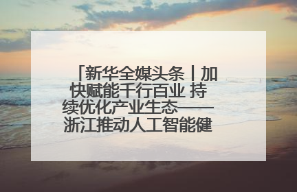 新华全媒头条丨加快赋能千行百业 持续优化产业生态——浙江推动人工智能健康有序发展观察