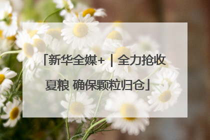 新华全媒+｜全力抢收夏粮 确保颗粒归仓