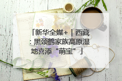 新华全媒+｜西藏：黑颈鹤家族高原湿地喜添“萌宝”
