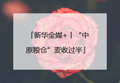 新华全媒+丨“中原粮仓”麦收过半