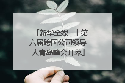 新华全媒+丨第六届跨国公司领导人青岛峰会开幕