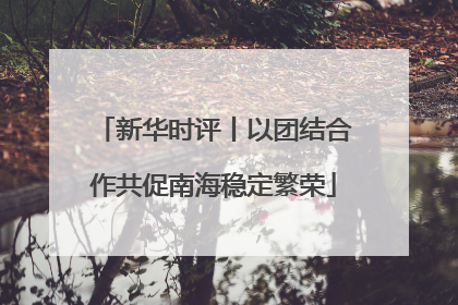 新华时评丨以团结合作共促南海稳定繁荣