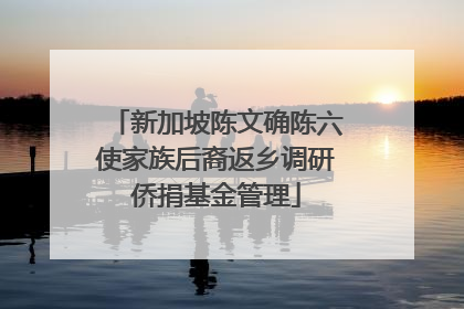 新加坡陈文确陈六使家族后裔返乡调研侨捐基金管理