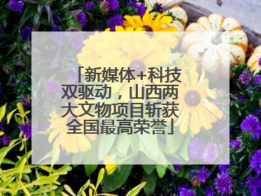 新媒体+科技双驱动，山西两大文物项目斩获全国最高荣誉