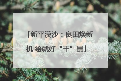 新平漠沙：良田焕新机 绘就好“丰”景