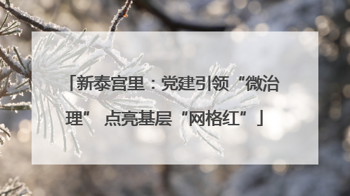 新泰宫里：党建引领“微治理” 点亮基层“网格红”