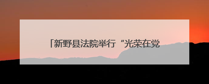 新野县法院举行“光荣在党50年”纪念章颁发活动