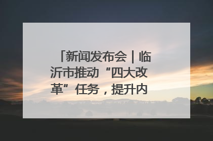 新闻发布会｜临沂市推动“四大改革”任务，提升内部审计监督效能