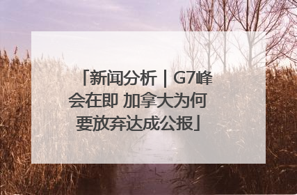 新闻分析｜G7峰会在即 加拿大为何要放弃达成公报