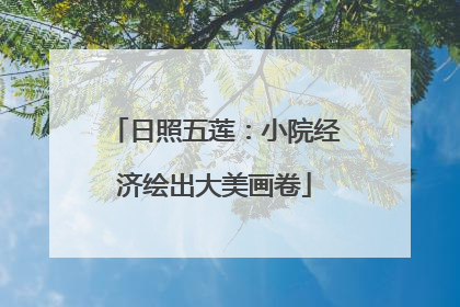 日照五莲：小院经济绘出大美画卷