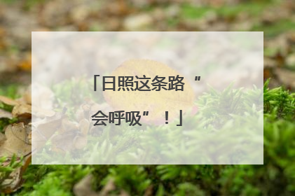 日照这条路“会呼吸”！