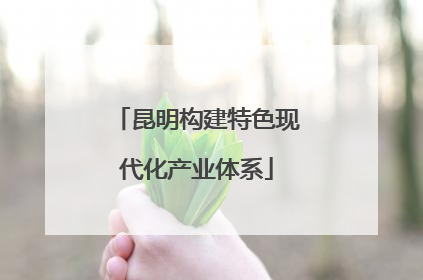 昆明构建特色现代化产业体系