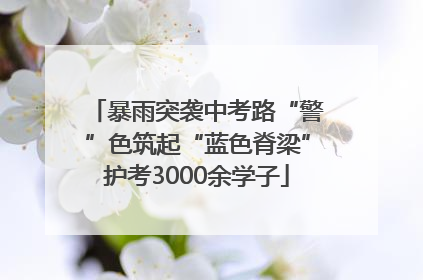 暴雨突袭中考路“警”色筑起“蓝色脊梁”护考3000余学子