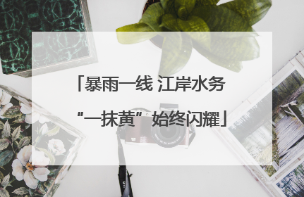 暴雨一线 江岸水务“一抹黄”始终闪耀