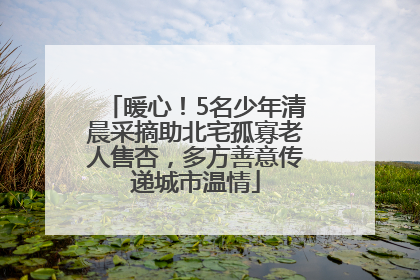 暖心！5名少年清晨采摘助北宅孤寡老人售杏，多方善意传递城市温情