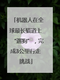 机器人在全球最长猫道上“遛狗”，完成3公里行走挑战