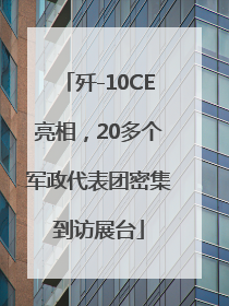 歼-10CE亮相，20多个军政代表团密集到访展台