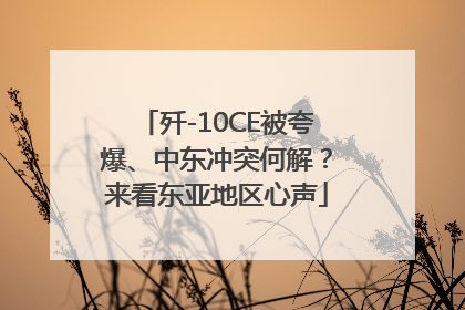 歼-10CE被夸爆、中东冲突何解？来看东亚地区心声