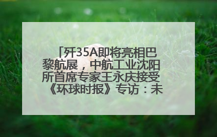 歼35A即将亮相巴黎航展，中航工业沈阳所首席专家王永庆接受《环球时报》专访：未来数量可以有很多