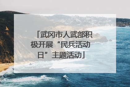 武冈市人武部积极开展“民兵活动日”主题活动