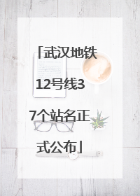 武汉地铁12号线37个站名正式公布
