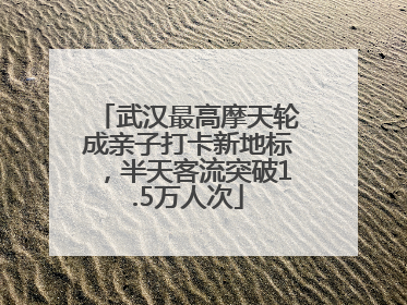 武汉最高摩天轮成亲子打卡新地标，半天客流突破1.5万人次
