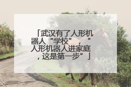 武汉有了人形机器人“学校”，“人形机器人进家庭，这是第一步”