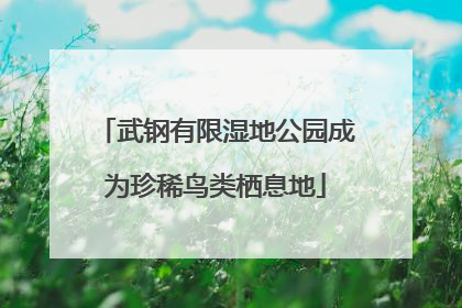 武钢有限湿地公园成为珍稀鸟类栖息地