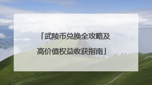 武陵币兑换全攻略及高价值权益收获指南
