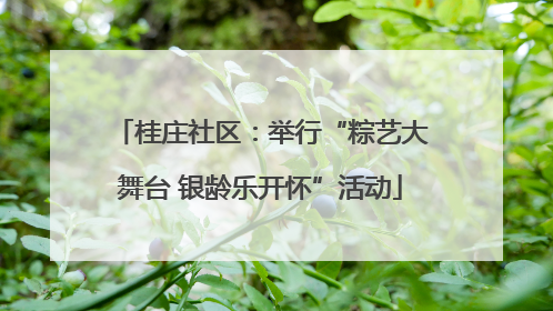 桂庄社区：举行“粽艺大舞台 银龄乐开怀”活动