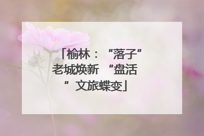 榆林：“落子”老城焕新 “盘活”文旅蝶变