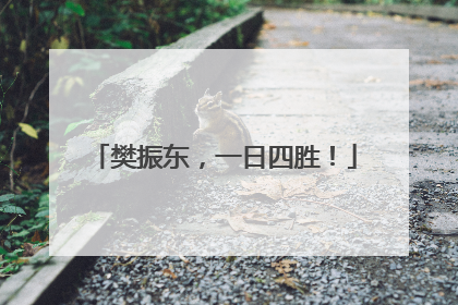 樊振东，一日四胜！