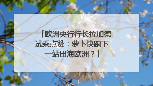 欧洲央行行长拉加德试乘点赞：萝卜快跑下一站出海欧洲？