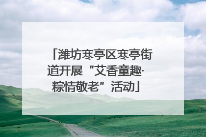 潍坊寒亭区寒亭街道开展“艾香童趣·粽情敬老”活动