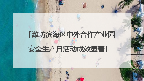 潍坊滨海区中外合作产业园安全生产月活动成效显著