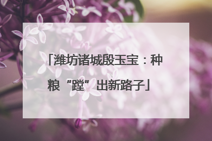 潍坊诸城殷玉宝：种粮“蹚”出新路子