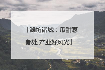潍坊诸城：瓜甜葱郁处 产业好风光