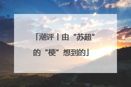 潮评丨由“苏超”的“梗”想到的
