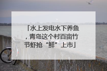 水上发电水下养鱼，青岛这个村百亩竹节虾抢“鲜”上市