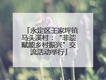 永定区王家坪镇马头溪村：“非遗赋能乡村振兴”交流活动举行