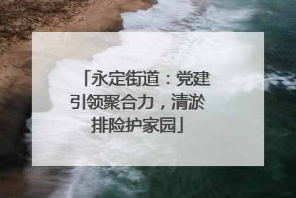 永定街道：党建引领聚合力，清淤排险护家园