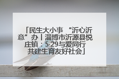民生大小事 “沂心沂意”办丨淄博市沂源县悦庄镇：5·29与爱同行 共建生育友好社会