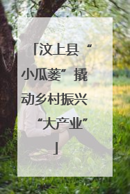 汶上县“小瓜蒌”撬动乡村振兴“大产业”