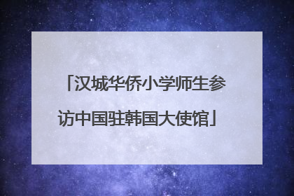 汉城华侨小学师生参访中国驻韩国大使馆