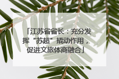 江苏省省长：充分发挥“苏超”撬动作用，促进文旅体商融合