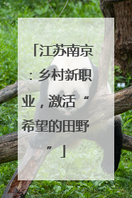 江苏南京：乡村新职业，激活“希望的田野”