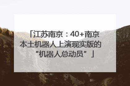 江苏南京：40+南京本土机器人上演现实版的“机器人总动员”